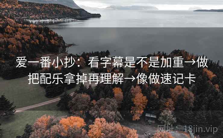 爱一番小抄：看字幕是不是加重→做把配乐拿掉再理解→像做速记卡